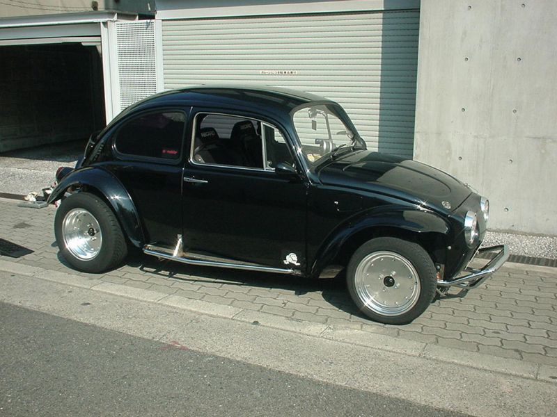 city_bug02.jpg