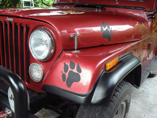 CJ7-223.jpg