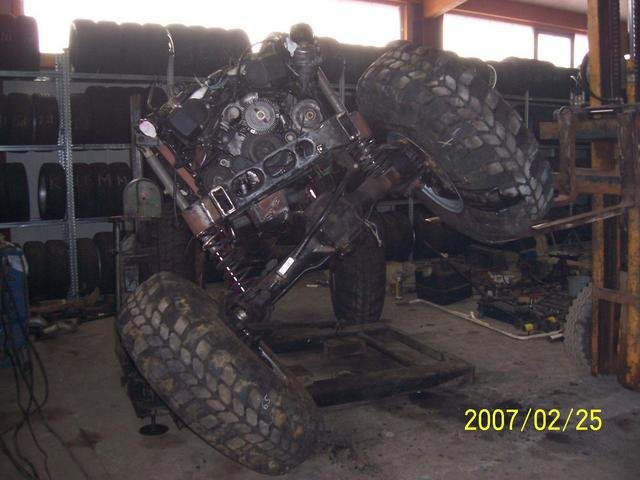 CJMOG2.jpg