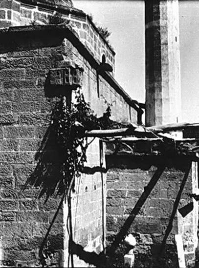clip_image002.jpg