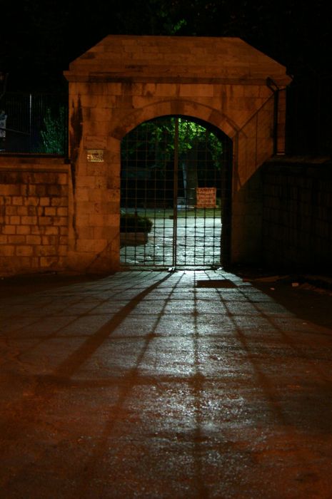 CRW_8343.jpg