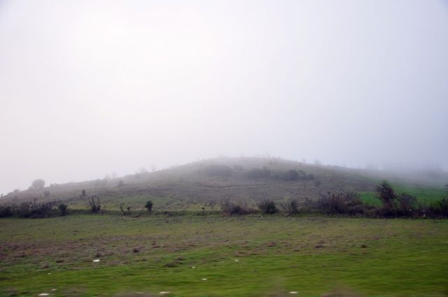 CSC_0632.jpg
