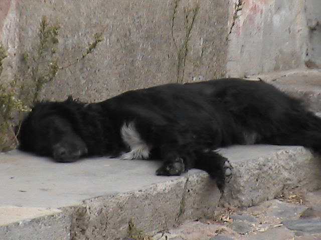 cunda23eyll2007024.jpg