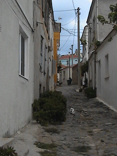 cunda23eyll2007062.jpg