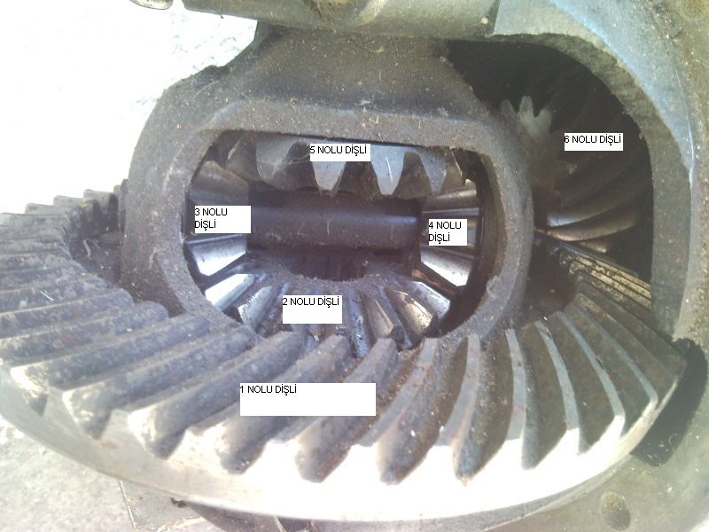 DÃƒÂƒÃ‚Â„ÃƒÂ‚Ã‚Â°ÃƒÂƒÃ‚Â…ÃƒÂ‚Ã‚ÂžLÃƒÂƒÃ‚Â„ÃƒÂ‚Ã‚Â° NO.jpg