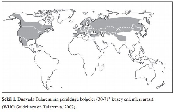 Dnyada Tularemi