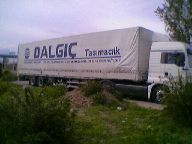 DALGIÃƒÂƒÃ‚ÂƒÃƒÂ‚Ã‚Â‡.jpg
