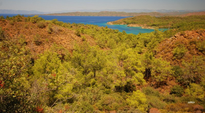 DATÃƒÂƒÃ‚ÂƒÃƒÂ‚Ã‚Â‡A 1 232.JPG