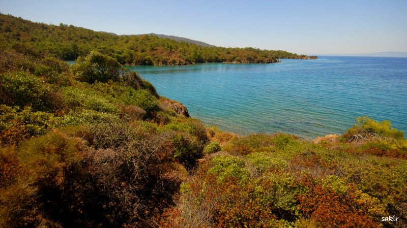 DATÃƒÂƒÃ‚ÂƒÃƒÂ‚Ã‚Â‡A 1 240.JPG