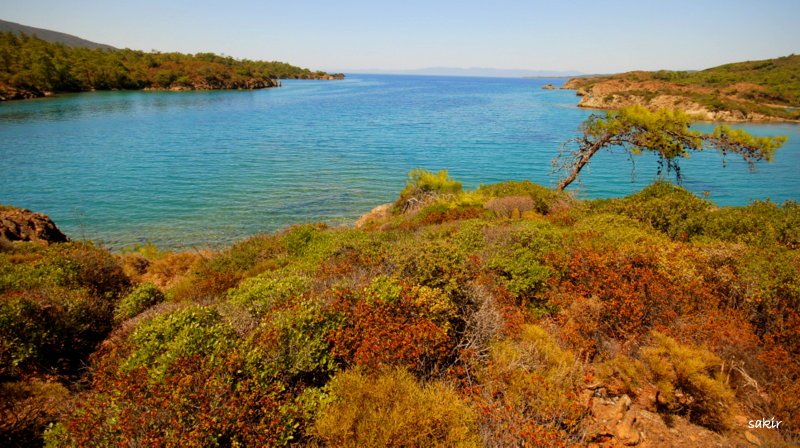 DATÃƒÂƒÃ‚ÂƒÃƒÂ‚Ã‚Â‡A 1 241.JPG