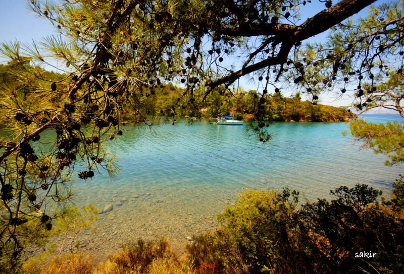 DATÃƒÂƒÃ‚ÂƒÃƒÂ‚Ã‚Â‡A 1 254.JPG