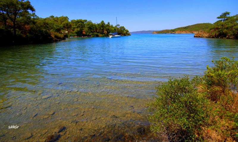 DATÃƒÂƒÃ‚ÂƒÃƒÂ‚Ã‚Â‡A 1 255.JPG