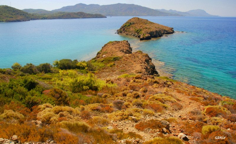 DATÃƒÂƒÃ‚ÂƒÃƒÂ‚Ã‚Â‡A 1 274.JPG