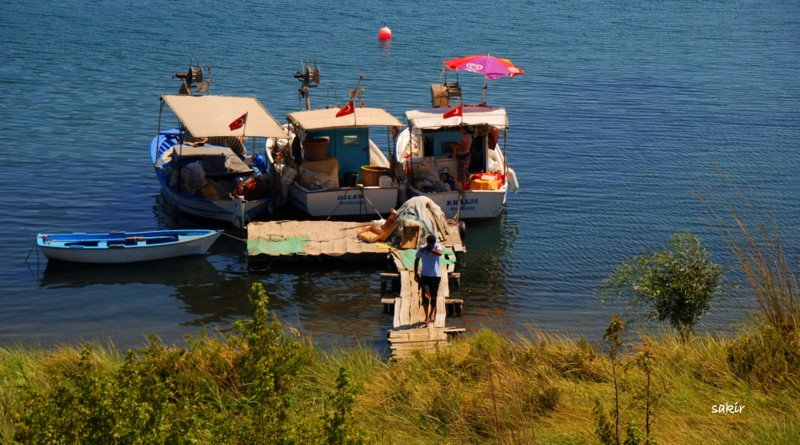 DATÃƒÂƒÃ‚ÂƒÃƒÂ‚Ã‚Â‡A 1 286.JPG