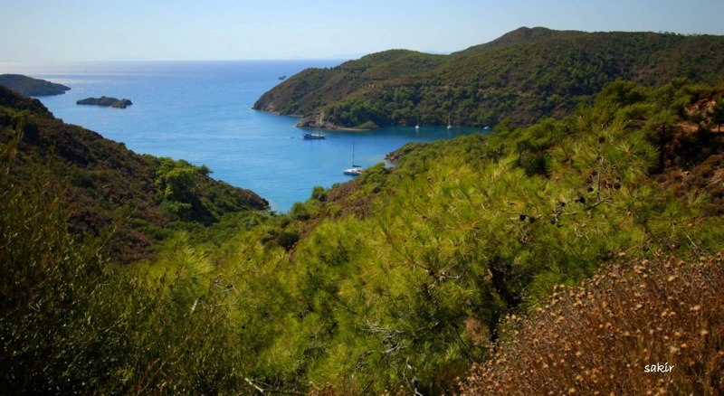 DATÃƒÂƒÃ‚ÂƒÃƒÂ‚Ã‚Â‡A 1 298.JPG