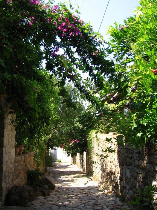 DatÃƒÂƒÃ‚ÂƒÃƒÂ‚Ã‚Â§a05.jpg