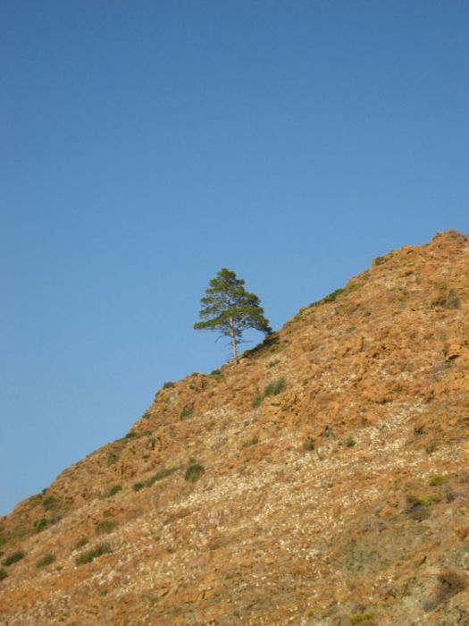 DatÃƒÂƒÃ‚ÂƒÃƒÂ‚Ã‚Â§a15.jpg
