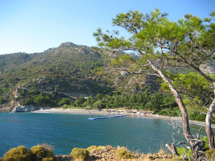 DatÃƒÂƒÃ‚ÂƒÃƒÂ‚Ã‚Â§a17.jpg