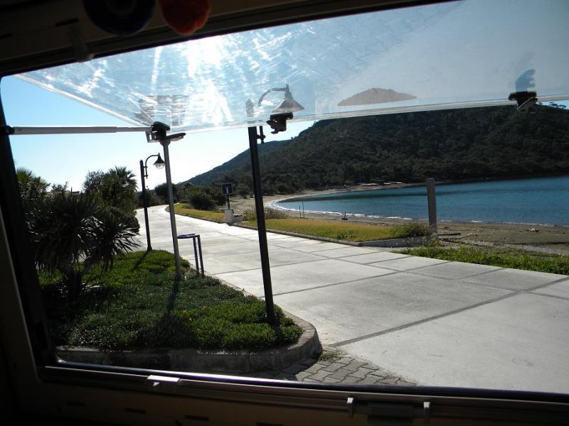 DATCA 139d taiga.jpg