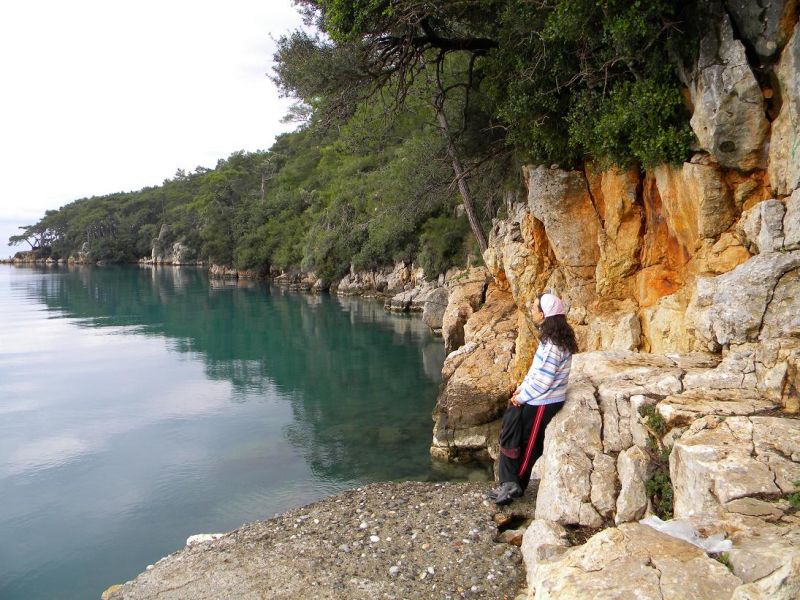 DATCA 396k.jpg