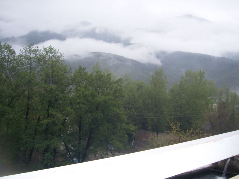 DCAM0468.jpg