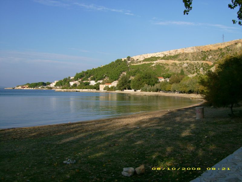 DELFIN KAMPING (1).jpg