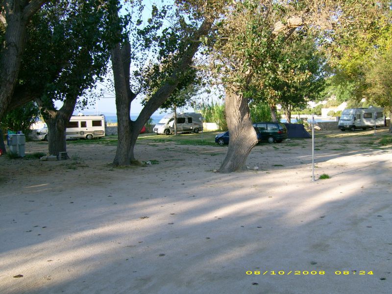 DELFIN KAMPING (3).jpg