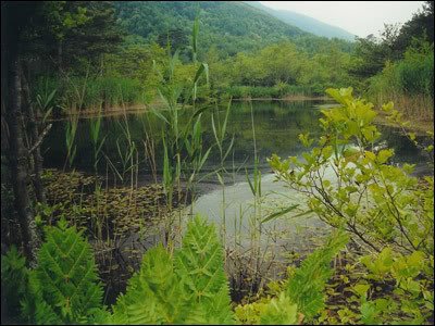 delmece_yayla9.jpg