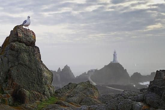 Denizfeneri-Le-Corbiere Jersey.jpg