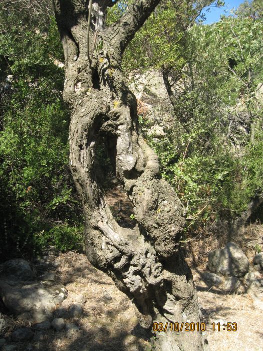 DenizkÃƒÂƒÃ‚ÂƒÃƒÂ‚Ã‚Â¶y - 03 Ekim 368.jpg