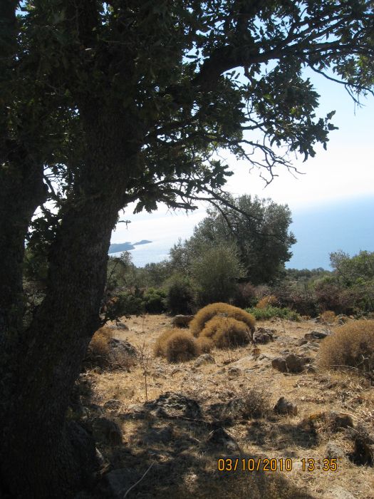 DenizkÃƒÂƒÃ‚ÂƒÃƒÂ‚Ã‚Â¶y - 03 Ekim 374.jpg