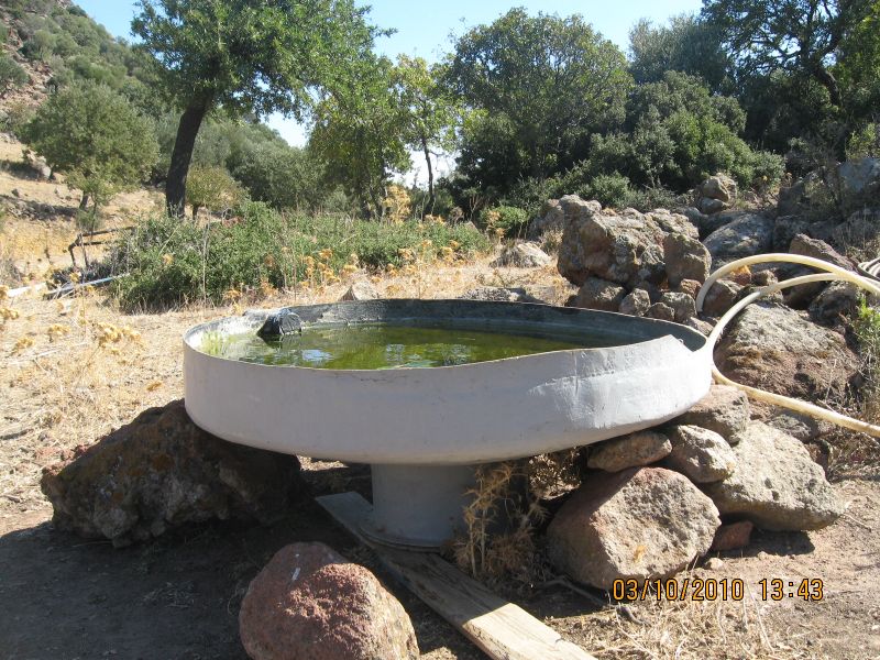 DenizkÃƒÂƒÃ‚ÂƒÃƒÂ‚Ã‚Â¶y - 03 Ekim 376.jpg