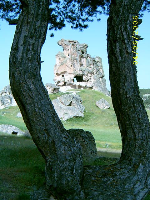 Deve boynu Kale30.jpg