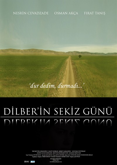 dilberinsekizgunu.jpg