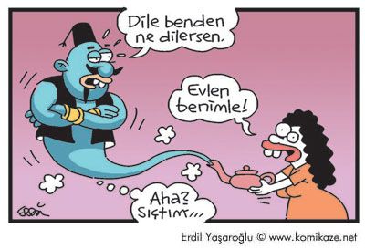 Dile Benden.jpg