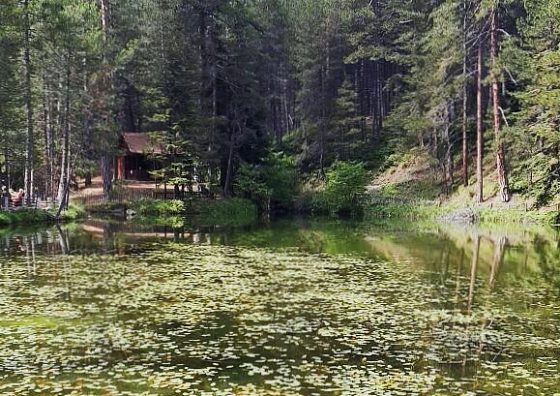 dipsizgol-manzarasi-560x396.jpg