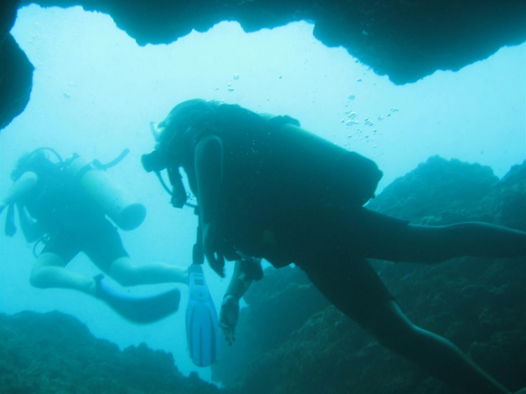 Dive (40) (Large).JPG