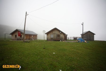 DPtP_0025.JPG