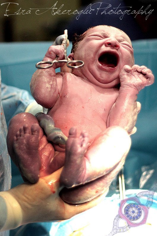 dr-bebek.jpg