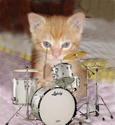 drums.jpg