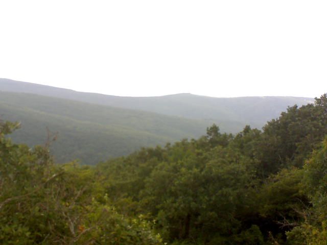 DSC00015.jpg