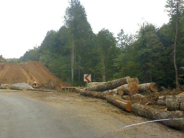 DSC00017.jpg
