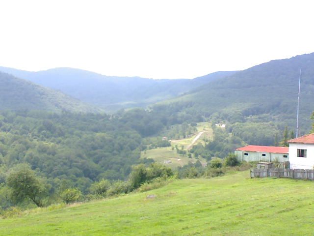 DSC00022.jpg