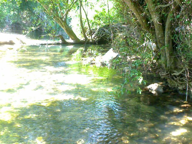 DSC00024.jpg