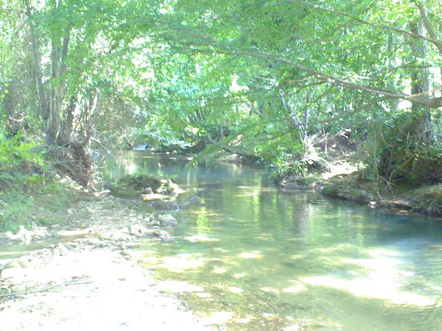 DSC00026.jpg