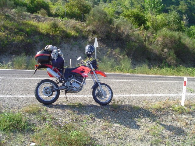 DSC00028.jpg