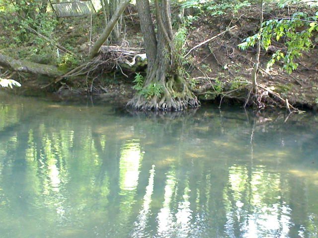 DSC00030.jpg