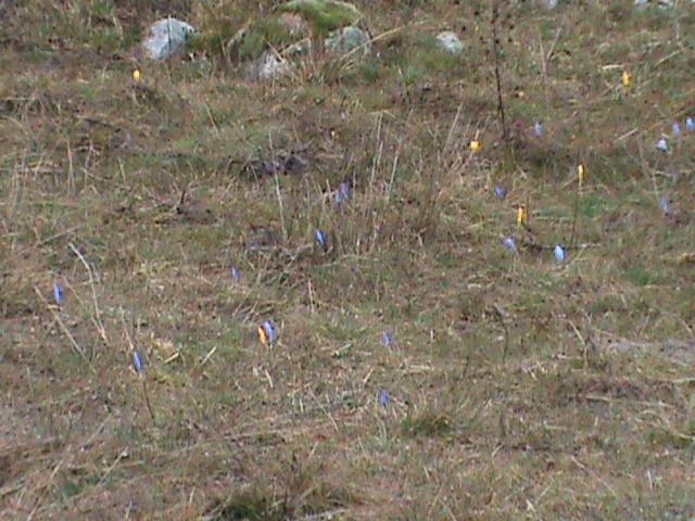 DSC00034.jpg