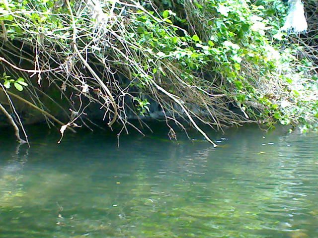DSC00038.jpg