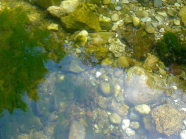 DSC00046.jpg